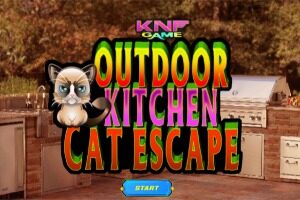 KNF-Outdoor-Kitchen-Cat-Escape