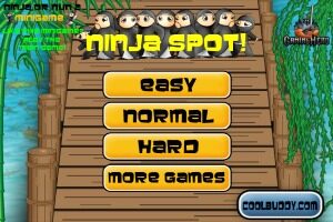 Ninja-Spot