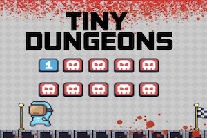 tiny dungeon