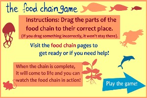 The-Food-Chain-Game