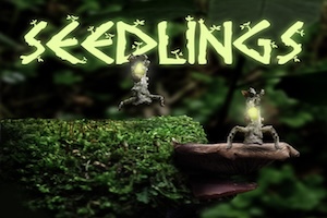 seedling