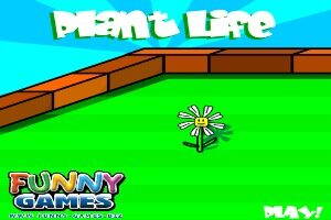 Plant-Life
