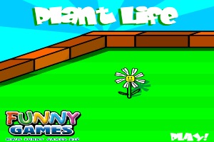 Plant-Life