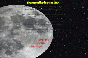 Serendipity-In-2D