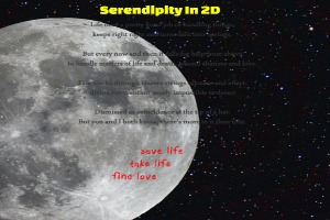 Serendipity-In-2D